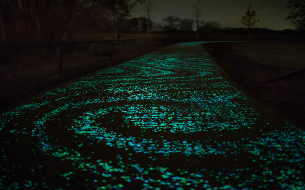 VanGoghRoosegaarde7