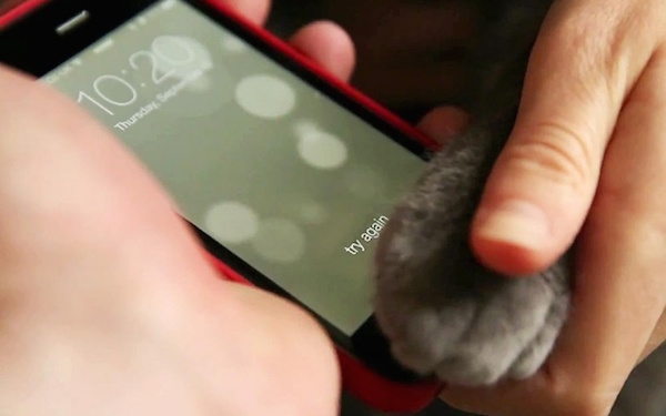 apple-iphone-5s-touch-id-cat-paw-640x0